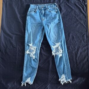 American Eagle Outfitters Ripped Blue Skinny Jeans